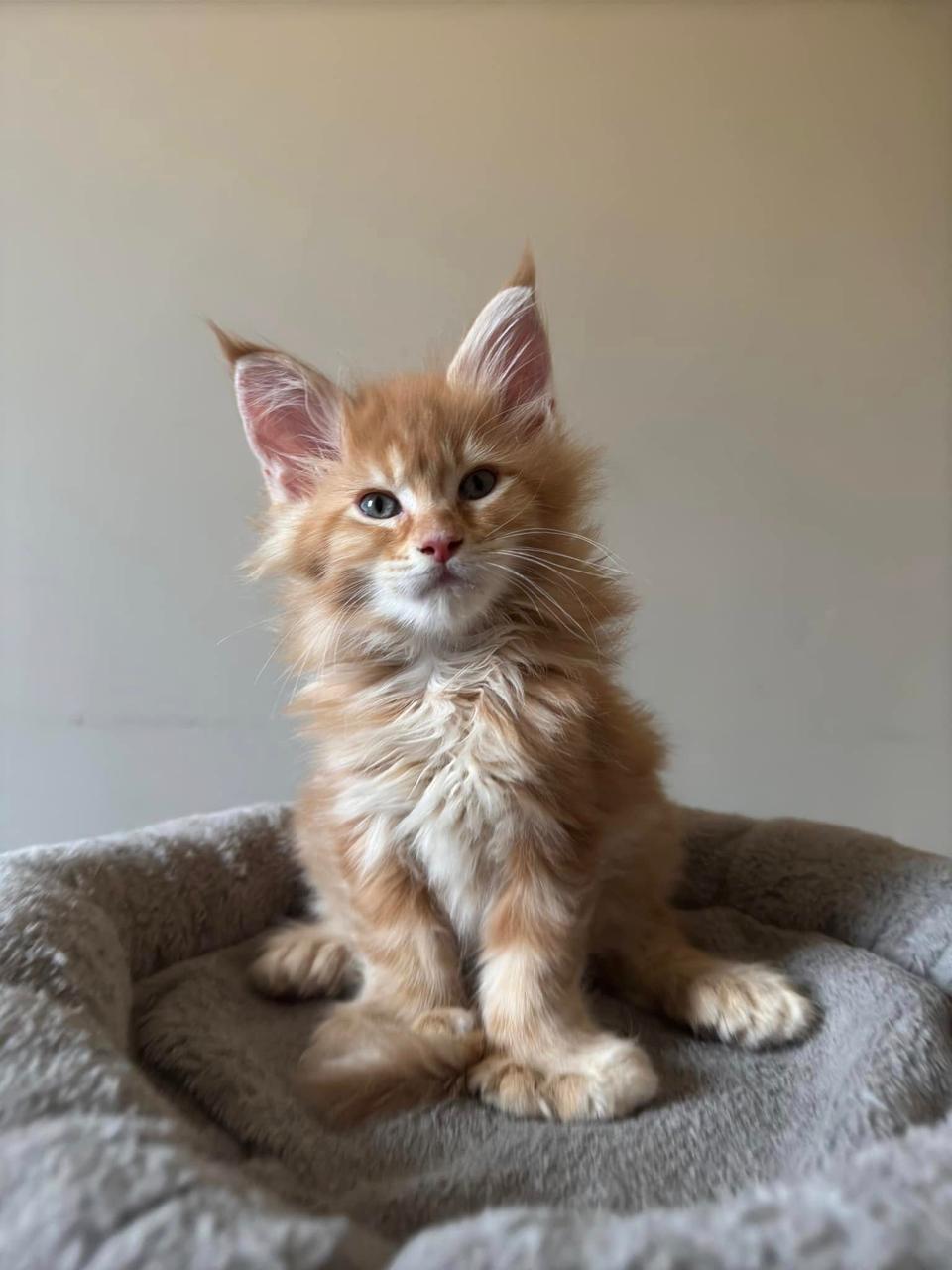 Charlie