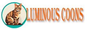 cropped-ll-logo.png